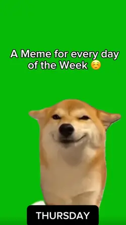 Meme Week 