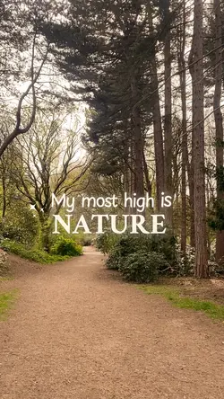 My most high 🌳🌤️