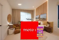 reviewing cat food