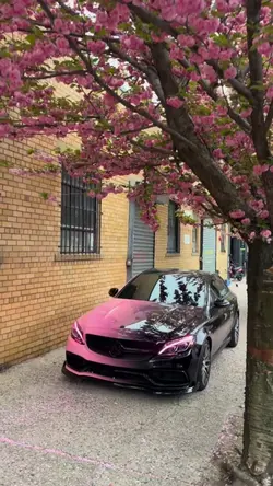 CAR EDIT