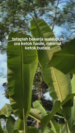 tetaplah bekerja
