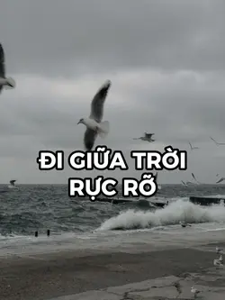 Đi giữa trời rực rỡ
