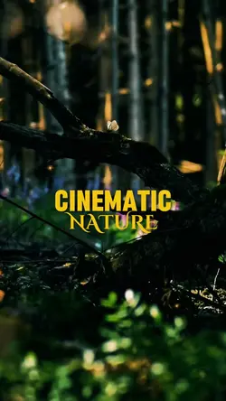 Cinematic Nature
