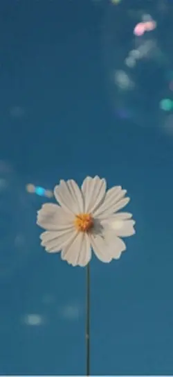 August