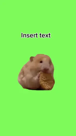 Funny hamster meme