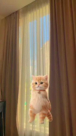 kucing bohay