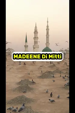 MADEENE Di Mitti 