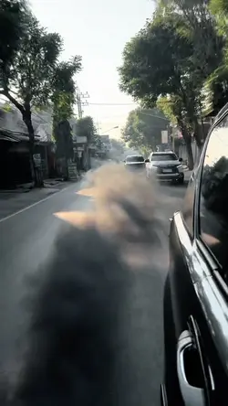 Sound kane