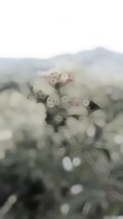 Slowmo stetik