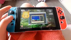 My bro- got a switch