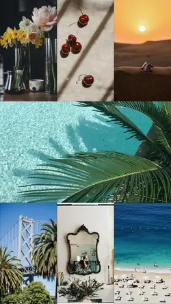 Collage 7