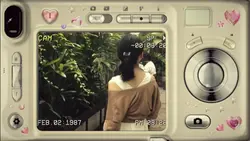 dump camera analog 