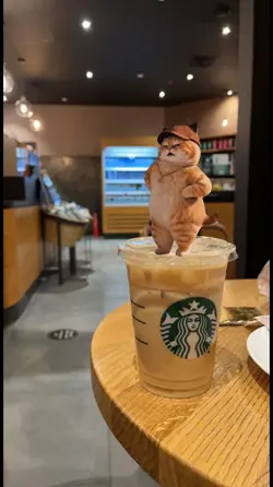 dancing cat