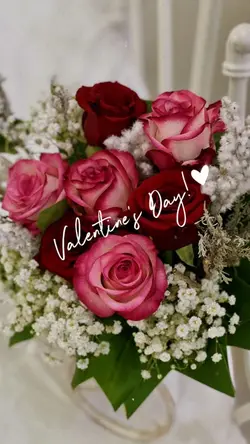 Valentine’s Day 🤍