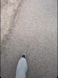 echte Freunde.