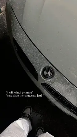 i will win i promise