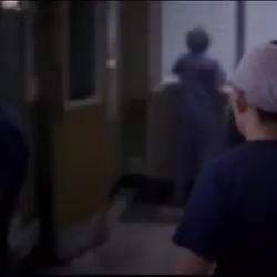 Cristina x Derek