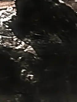 Godzilla edit