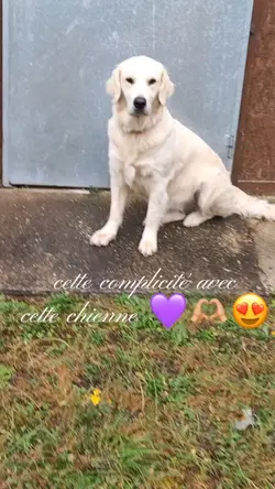 la complicité 