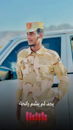 الشاعر محمود