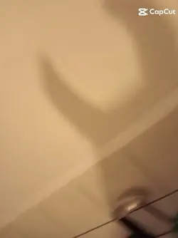 Vent