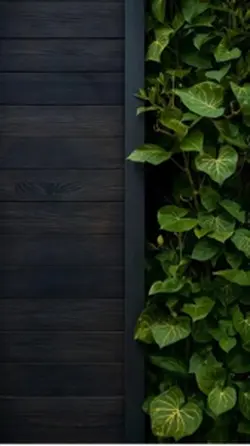 Mẫu 2 ảnh