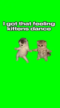 2 kittens dance