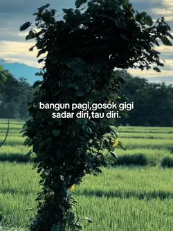 Bahan sw