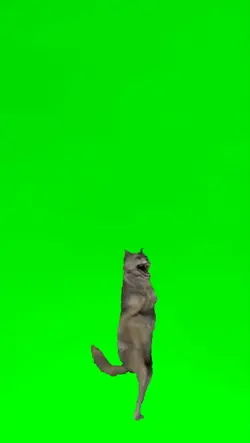 Serigala Joget Meme