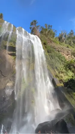 Falls