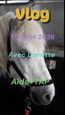 Vlog vacances