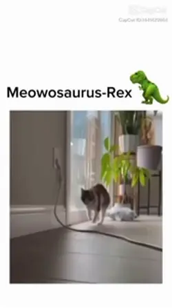 Jurassic park fans 