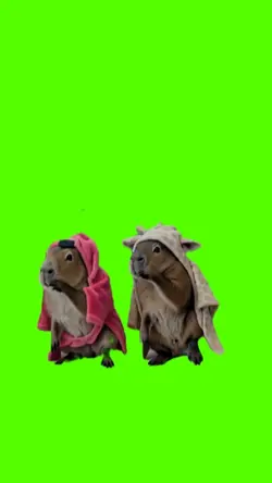 capybara brazilian