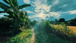 Chill vibes