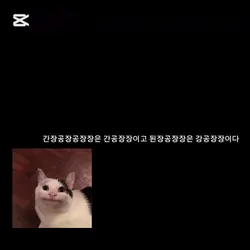 신입캡크의 첫 편집