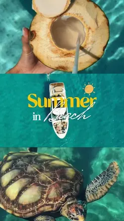 summer in beach