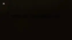 tiktok viral 