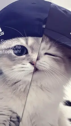 JJ 2 FOTO