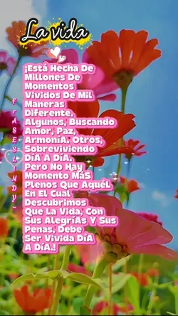 De color de rosa 🌹 