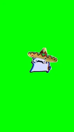 mexican cat dancing 
