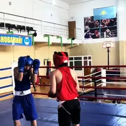 EDIT LUTA VIRAL