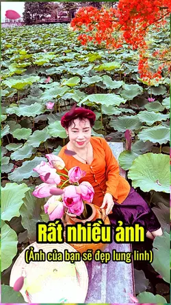 Mẫu rất nhiều ảnh 