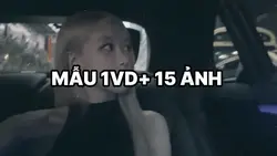 MẪU 1VD+15 ẢNH