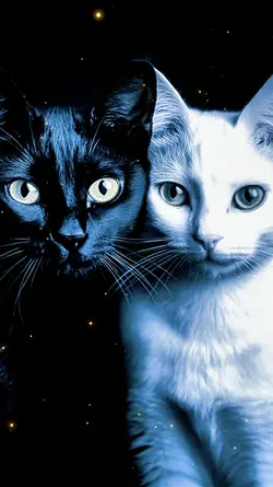 OUR BEAUTIFUL PETS
