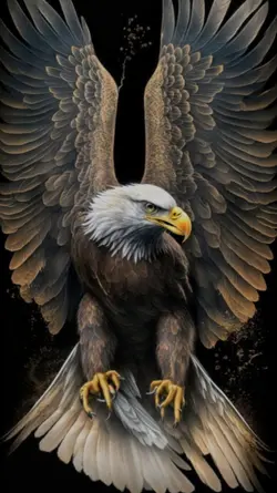 Kartal 