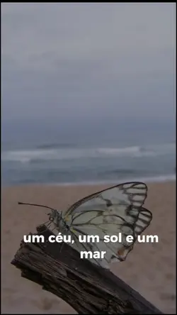 momentos praia