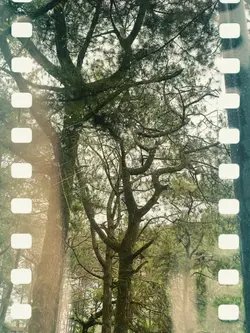 Indie Film