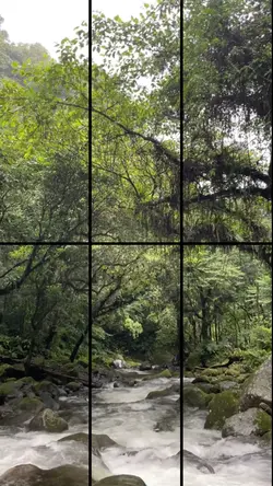 INTRO VIDEO