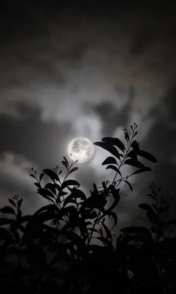 for you