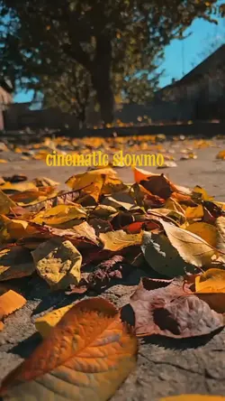Cinematic Slowmo